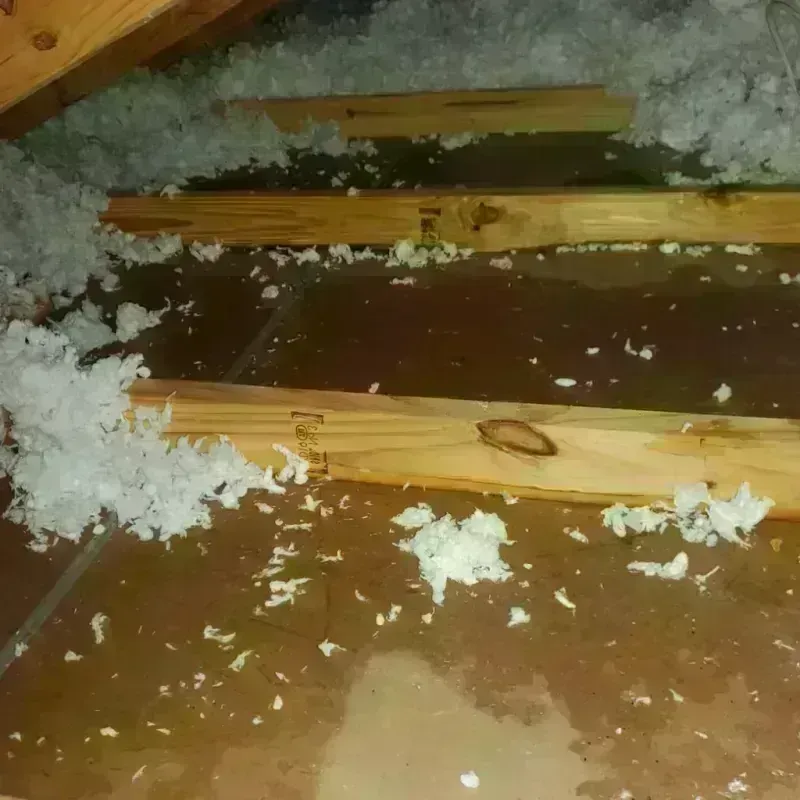 Attic Water Damage in Oshkosh, WI