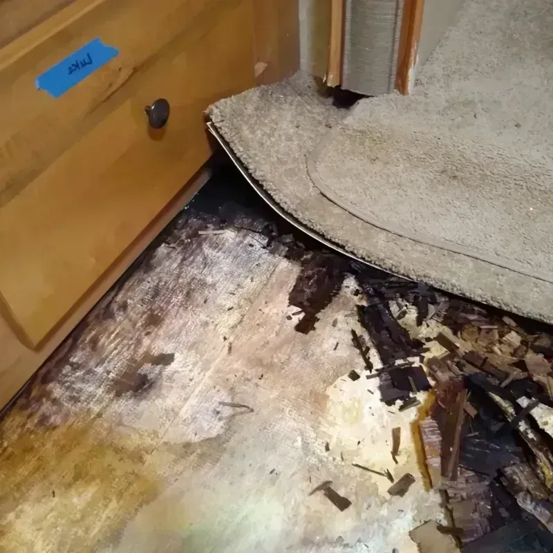 Wood Floor Water Damage in Oshkosh, WI